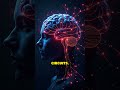 Dopamine: The Brain’s Motivation Engine