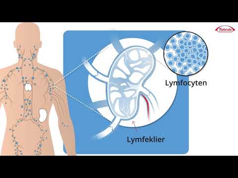Video: Rol En Targeting Van Anaplastisch Lymfoomkinase Bij Kanker