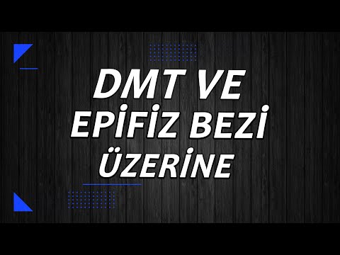 SORU - DMT ve Epifiz Bezi Hakkında Söylenenler Gerçek mi?