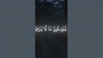 القران الكريم تلاوة ياسر الدوسري سورة النساء #اكسبلور #راحة_نفسية
