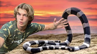 Surviving 3 DAYS on SNAKE ISLAND! Pt.1 by Miller Wilson 156,019 views 7 months ago 17 minutes
