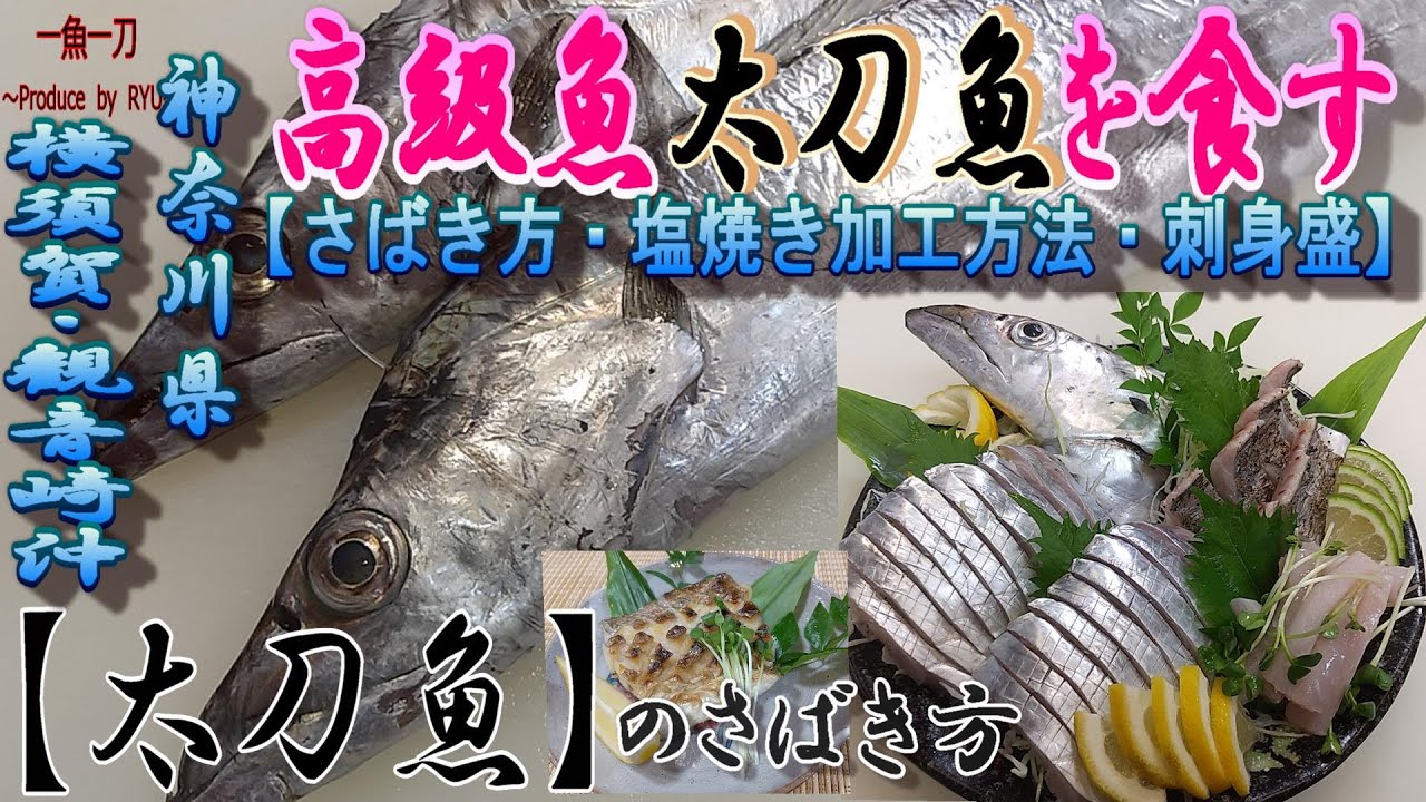 太刀魚釣り師必見 太刀魚のさばき方 ３枚おろし 塩焼き加工 お刺身盛まで徹底解説 釣って楽しい 食べて美味しい 太刀魚の魅力を是非味わってください Youtube