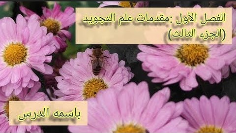 شرح مبسط لكتاب المنير /الفصل الأول :مقدمات علم التجويد (الجزء الثالث والأخير)