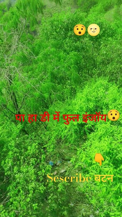 holi me masti maami ki phadi
