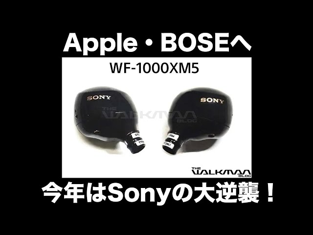 SONY WF-1000XM5 ワイヤレスイヤホン 本体のみ SONY WF-1000XM5 価格比較 - 価格.com