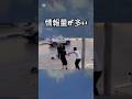 情報量が多い