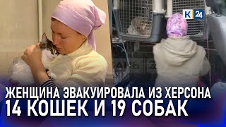 Из Херсона в Краснодар привезли 33 спасенных животных