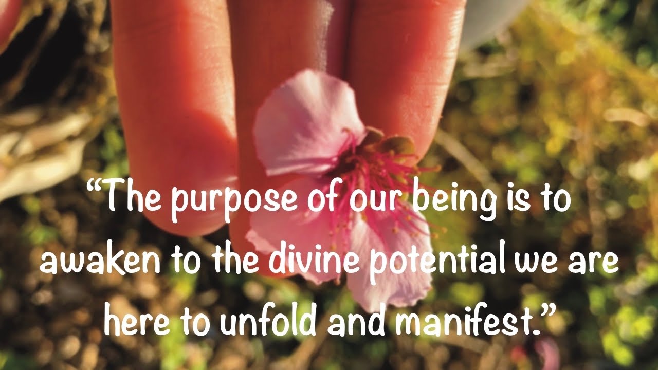 excerpt from ‘The Soul of Psychosynthesis’