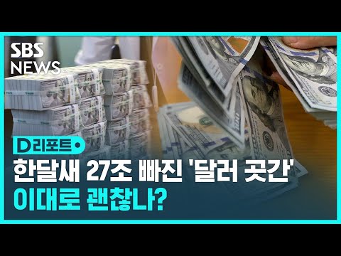 외환보유액 200억 달러 감소 강달러 막기 역부족 SBS D리포트 