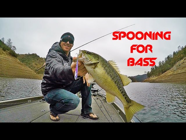 Bass Fishing: How to Catch Fish With a Spoon 