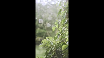 subliminal reprogramming - reprogram your subconscious mind (close belief in shifting)