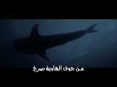 صلي يونان من جوف الحوت حالات واتس