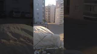 Vay Ben Öleydim(Kara Kız) Davul Zurna