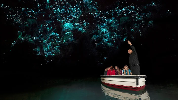 Discover Waitomo Glowworm Caves | New Zealand