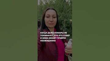 Подробнее смотри комментарии #shorts #блог #обзор #лайфхаки #рецепты #жиза #жизнь #природа