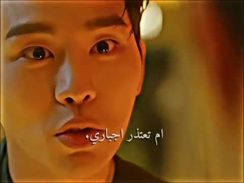اعتذر الى كلبي مسلسل المدعي العسكري دوبيرمان