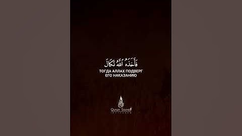 اسلام صبحي/سورة النازعات/ حالات