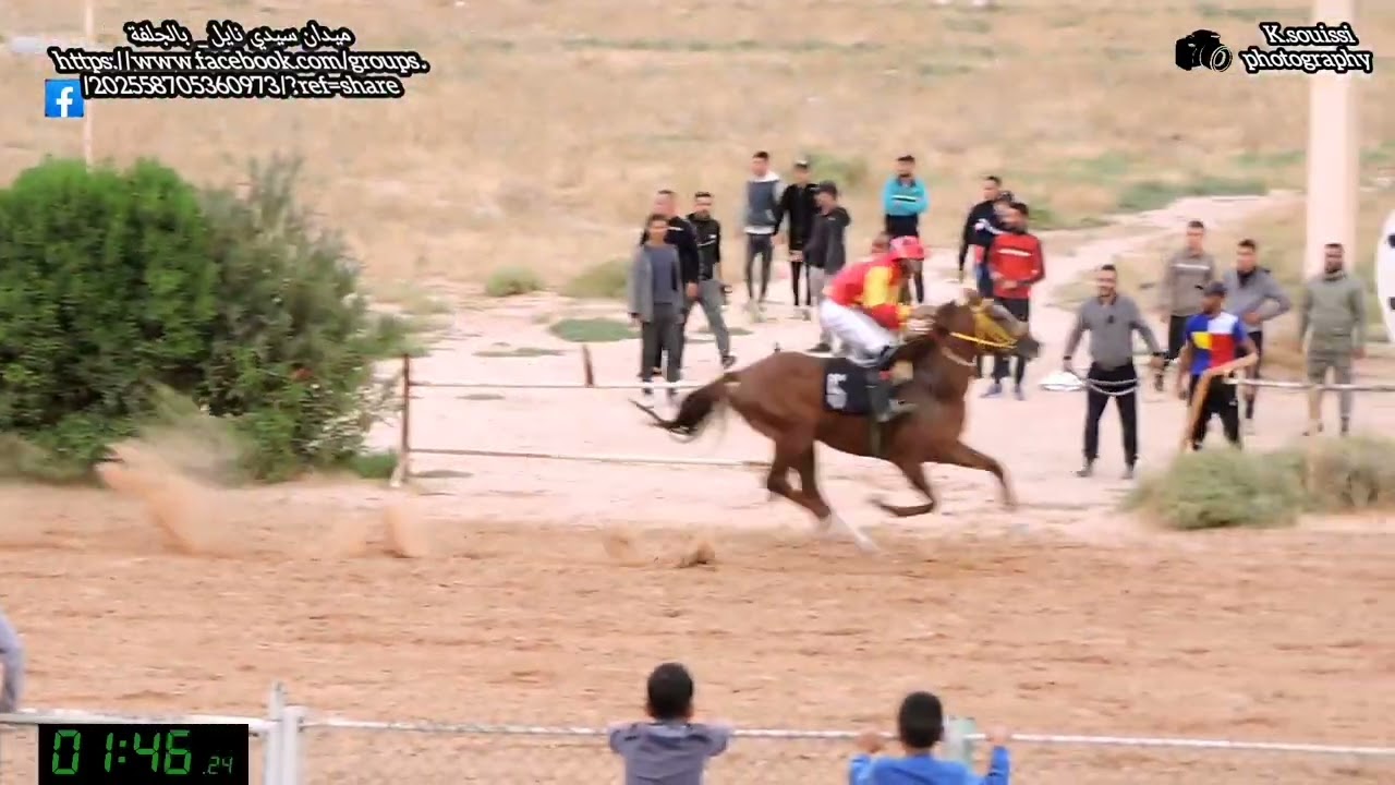 سباق الخيول العربية الأصيلة ميدان سيدي نايل بالجلفة ليوم : 30.09.2022 ♥️♥️🐴🐴