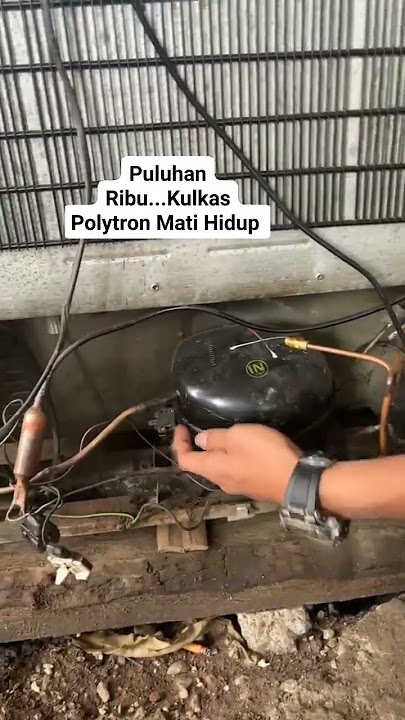 POLYTRON REFRIGERATOR TURNS OFF AND ON❗❗#shorts