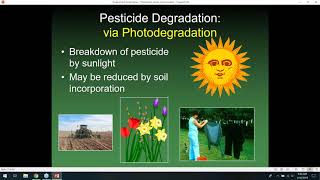 Pesticides Movement in the Environment with Dr. Mickey Taylor