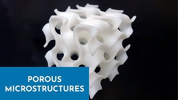 [CFS] Lightweight and Porous Structure Modeling | Ligang Liu & Lu Lin