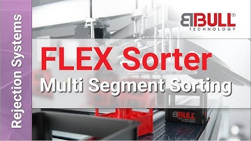 BBULL FLEX SORTER | Automated rejection system for cartons and crates