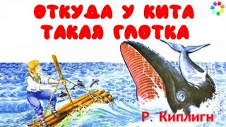 Откуда у кита такая глотка - Киплинг Р.Д. 🎧