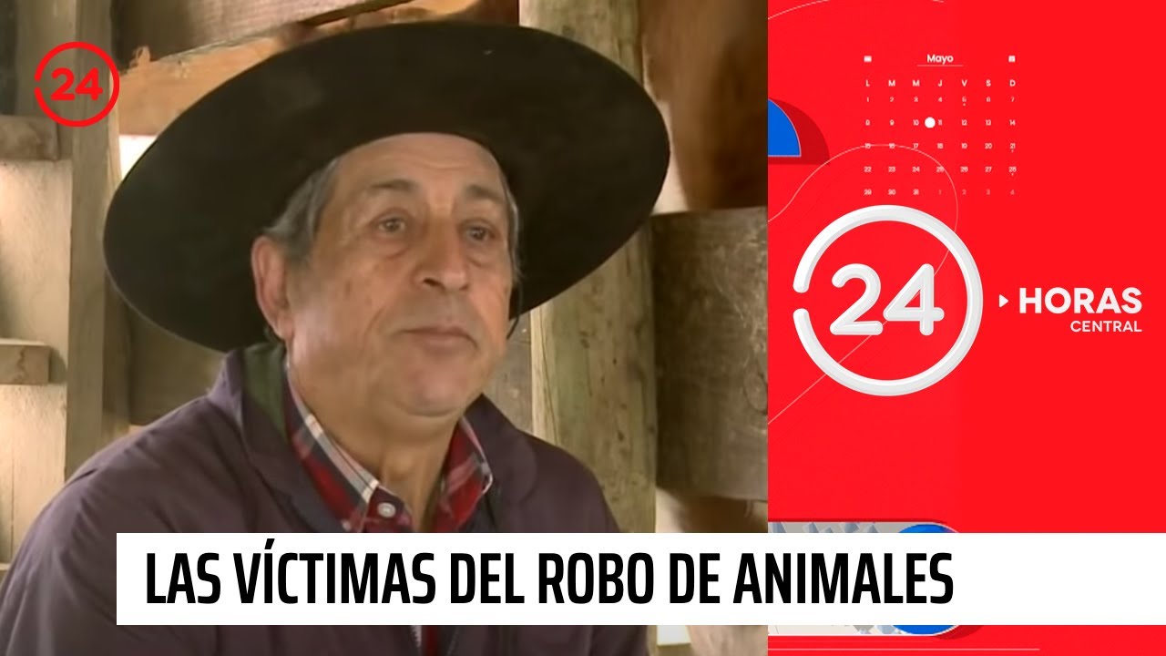 Reportajes 24: Las víctimas del robo de animales | 24 Horas TVN Chile