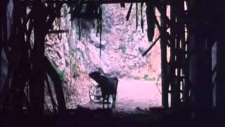 Krava - (Lepa sela lepo gore)
