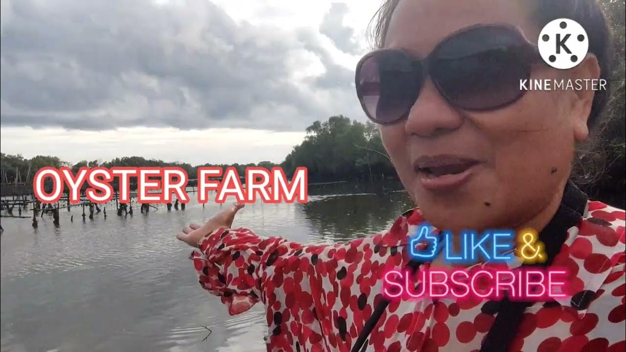 🇵🇭THE BEST OYSTER FARM IN ROXAS CITY,CAPIZSEAFOODS CAPITAL CITY