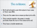 Endosymbiotic Theory Quiz