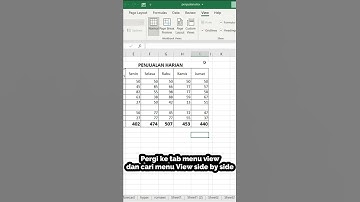 Cara Menampilkan 2 File Excel Dalam 1 Layar #shorts