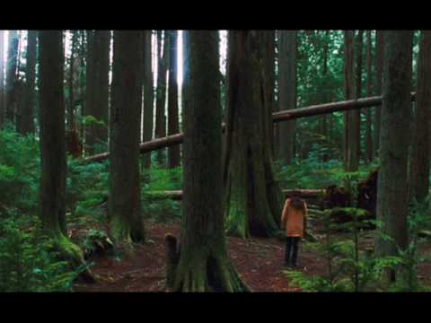 we never were new moon song