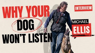 Stop Training Your Dog Until You Do This First!