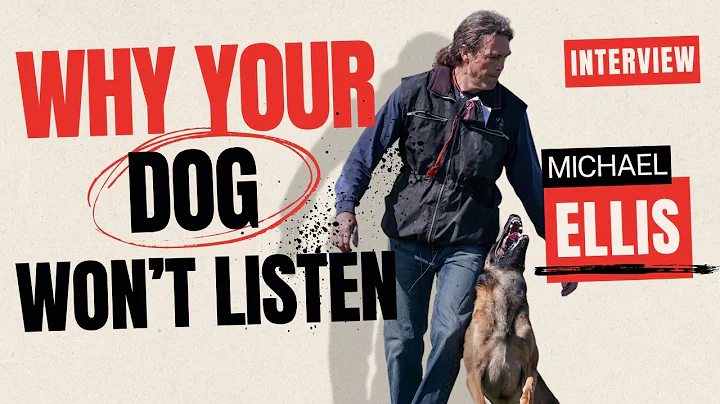 Stop Training Your Dog Until You Do This First!