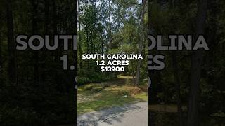 1.2 acres in South Carolina for $13900 #realestate #land #viral #property #foryou #shorts #fyp #sale