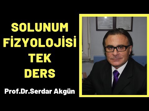 SOLUNUM FİZYOLOJİSİ TEK DERS 44 DK