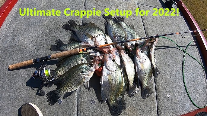What to Look for in a Crappie Fishing Rod for Vertical Jigging