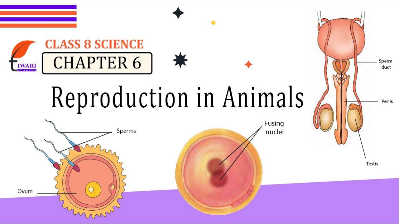 case study reproduction in animals class 8