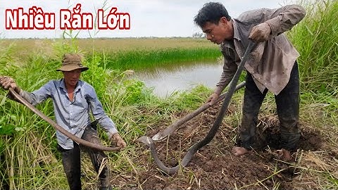 Giang Ca SB | Vượt Gần 300km Giúp Người Dân Gọi Phát Hiện Rắn Độc | Địa Điểm Có Nhiều Lớp Da Rắn Lớn