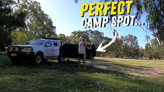 AWESOME Overnight Camping on the MURRUMBIDGEE