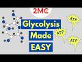 Understanding Glycolysis