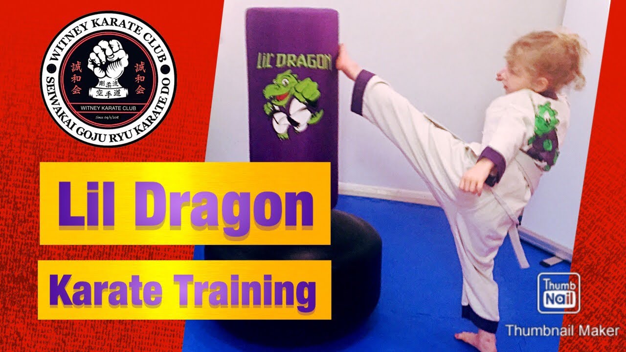 Lil Dragon Karate Home Training! YouTube