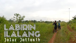 LABIRIN ILALANG DI TREK JJ - JALUR JATIASIH