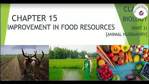 Class- IX Biology Ch-15 Improvement in Food Resources (Part-2) | By Supriya Mishra
