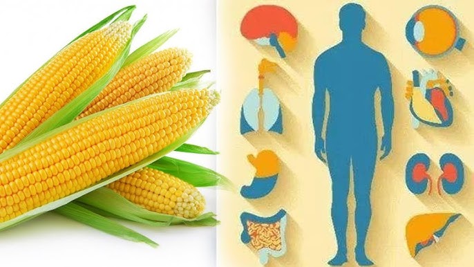 Yapon ayol bilan onlayn porno jinsiy aloqa