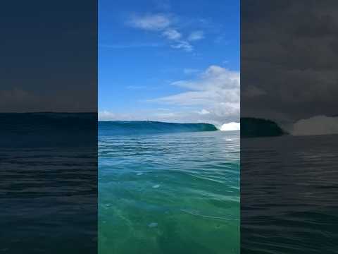 EVERY SURFERS DREAM!