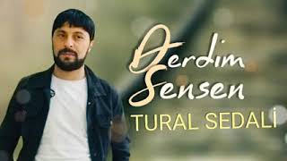 Derdim Sensen - Tural Sedali 2022 Resimi