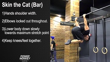 Skin the Cat (bar)