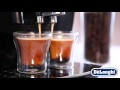 delonghi magnifica S